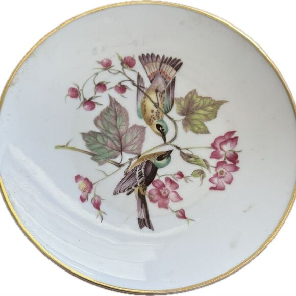 Vintage Debra Bavaria Porcelain Plate with Bird & Flower Design - Picture 1 of 8